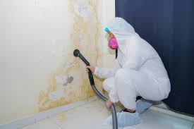 Best Air Quality Testing for Mold Spores  in Ottawa, IL